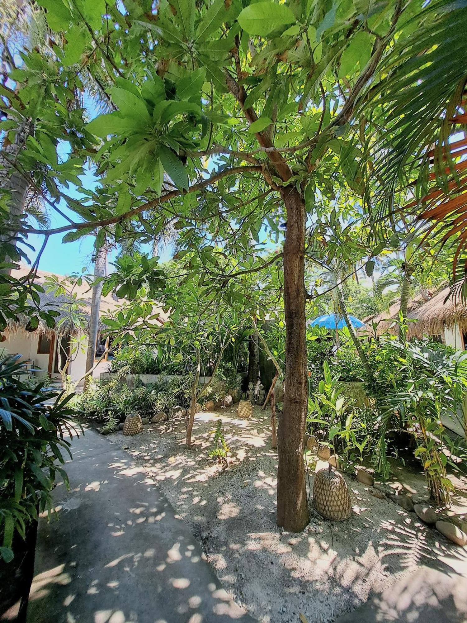 Eden Eco Hotel 3*