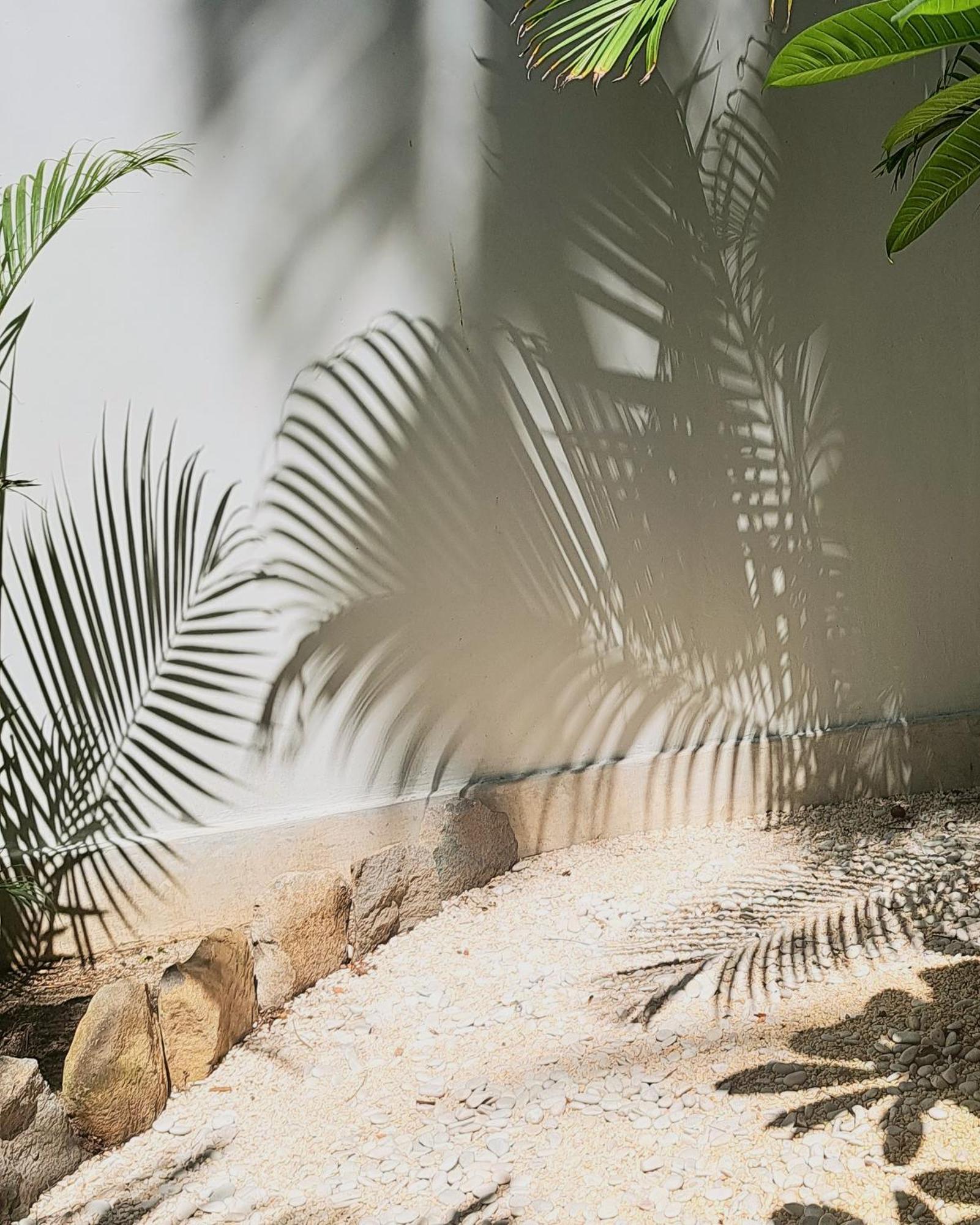 Hotel Eden Eco